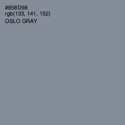 #858D98 - Oslo Gray Color Image